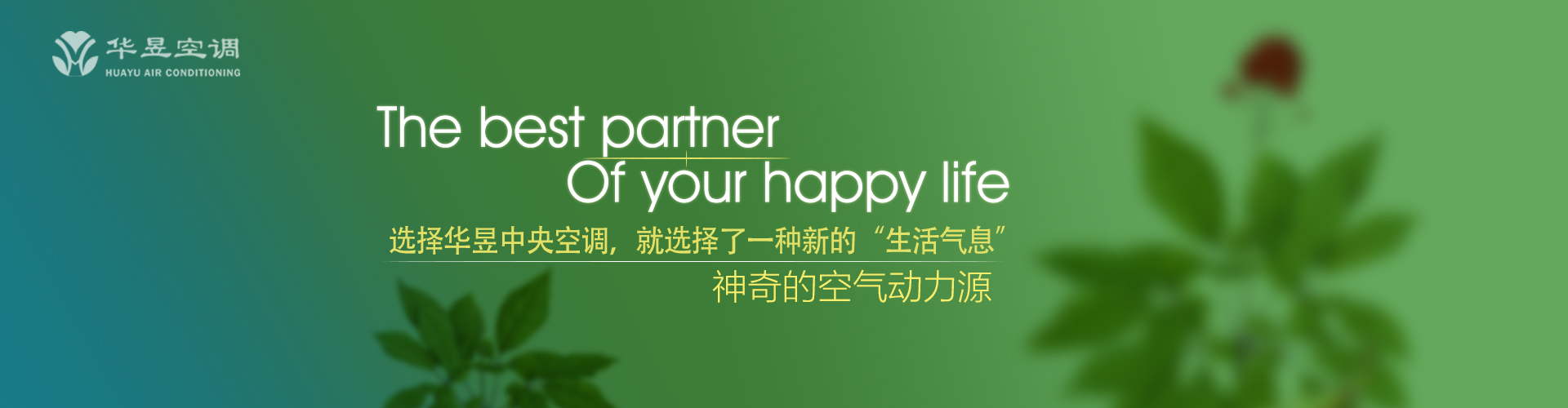 以弱胜强网